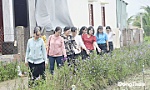 Xanh - sạch - đẹp  các tuyến đường giao thông nông thôn