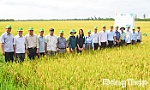 Đồng Tháp: Hiệu quả kinh tế từ mô hình canh tác lúa chất lượng cao và phát thải thấp