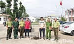 Cơ quan chức năng tiếp nhận 2 cá thể rái cá quý hiếm do người dân giao nộp