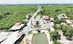 Bài 1: 