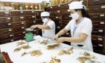 Phát huy hơn nữa vị thế, vai trò của y học cổ truyền trong chăm sóc sức khỏe nhân dân