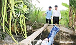 Đồng Tháp: Các địa phương chủ động ứng phó mưa bão, triều cường