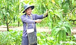 Bài 3: Phát triển cây ăn trái chủ lực