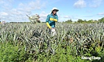 Thi đua tạo bước tiến mạnh mẽ