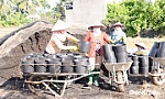 Làng hoa Mỹ Phong tất bật chuẩn bị vụ hoa tết