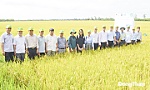 Đòn bẩy phát triển bền vững