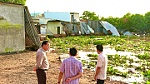 Đồng Tháp: Tiếp tục xảy ra sạt lở bờ sông Tiền thuộc phường Cao Lãnh