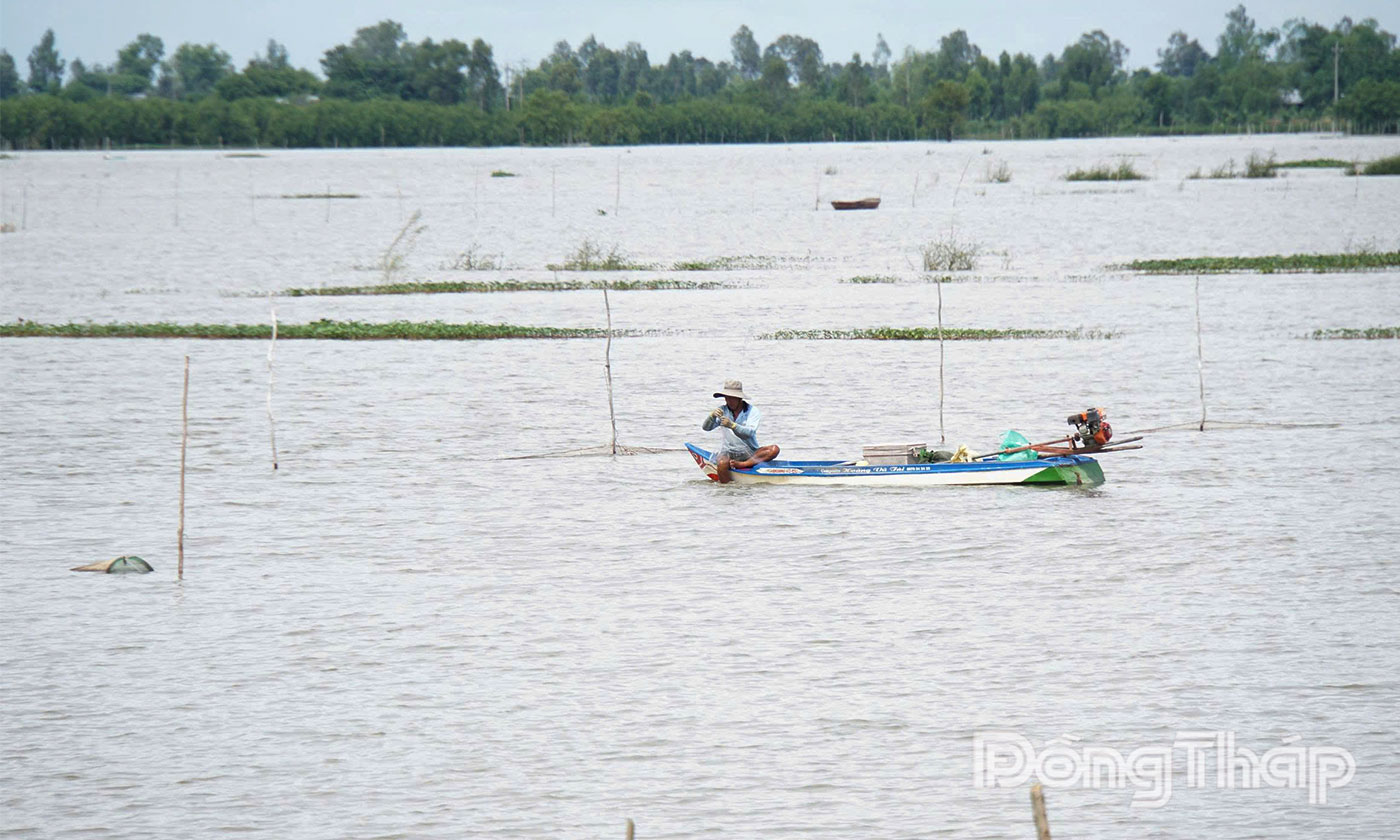 Mực nước
