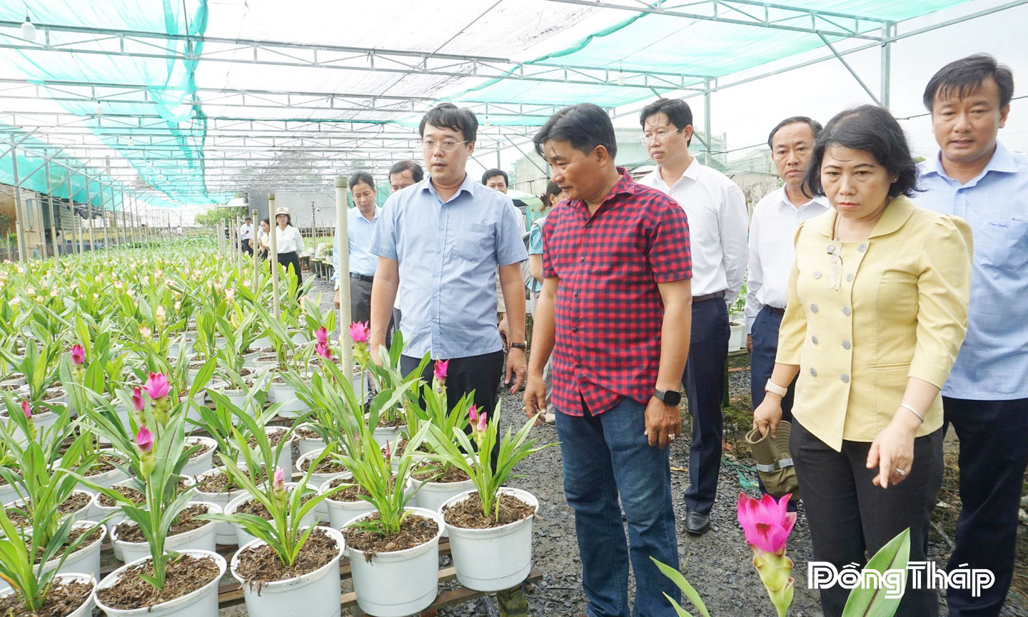 Bí thư Tỉnh ủy Đồng Tháp Lê Quốc Phong thăm và động viên nông dân Huỳnh Thanh Tuấn tập trung chuẩn bị hoa, kiểng phục vụ sự kiện Festival Hoa - Kiểng lần II.