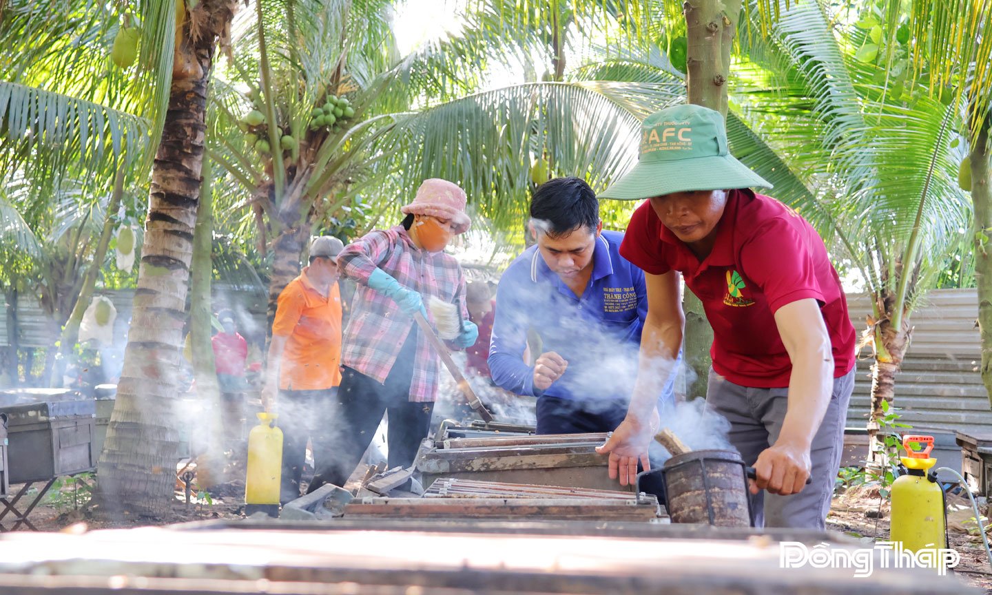 Trước khi thu hoạch mật ong, người nuôi thường nhóm lửa hun khói để đàn ong bớt hung dữ nhằm thuận lợi hơn cho quá trình thu mật.