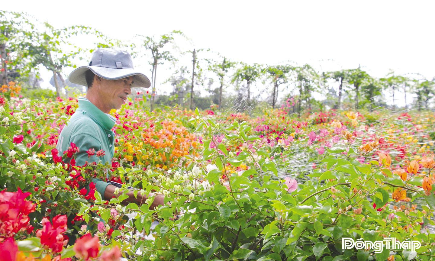 Nông thôn khởi sắc, thu nhập của người dân ngày càng nâng cao. 