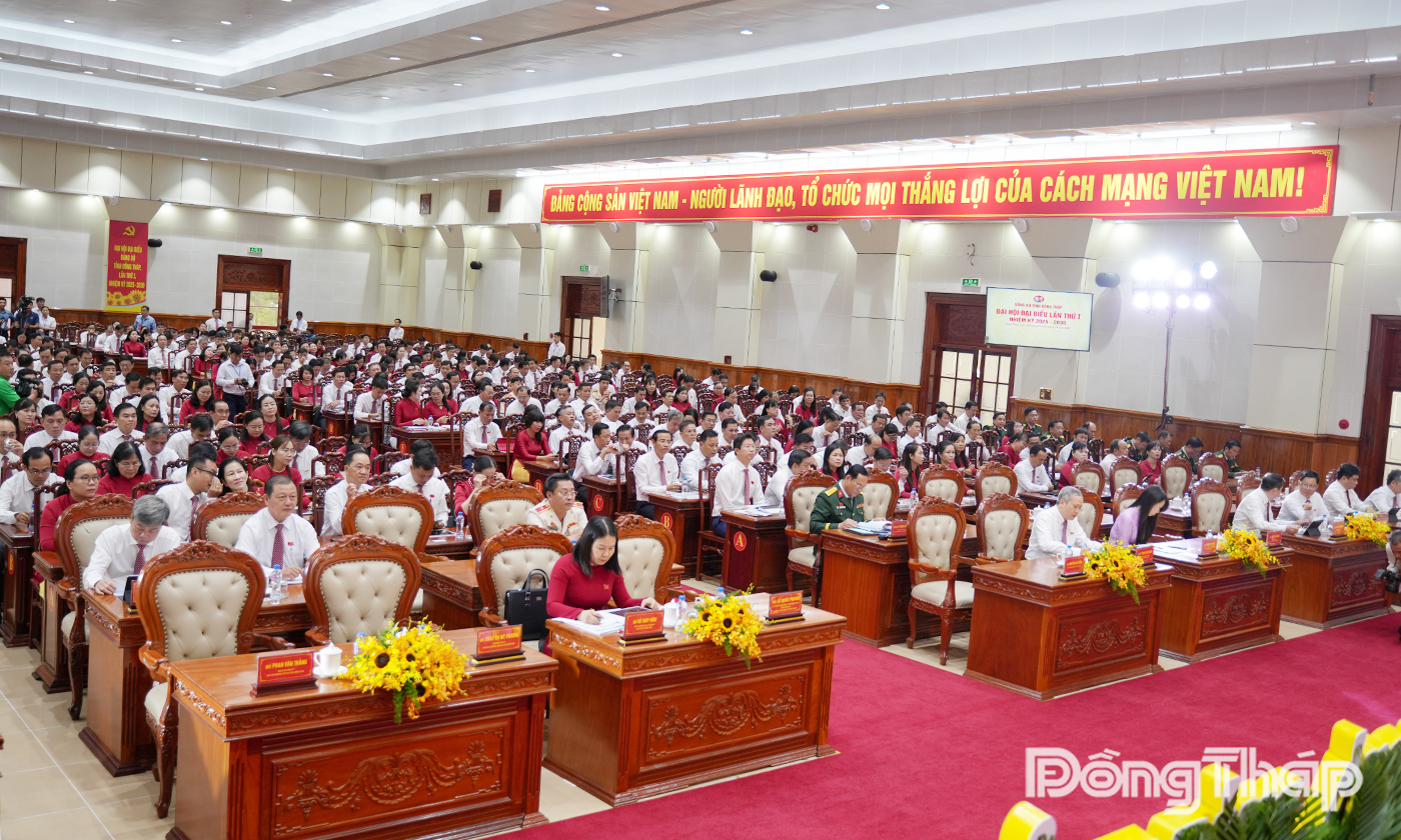 Các đại biểu tham dự phiên trù bị.