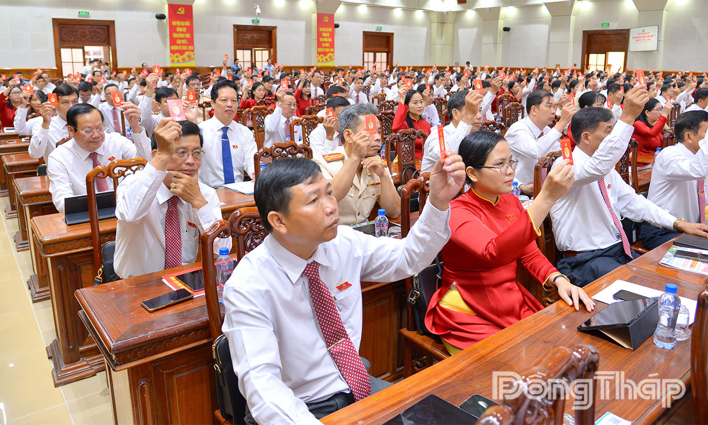 Các đại biểu biểu quyết tại đại hội.