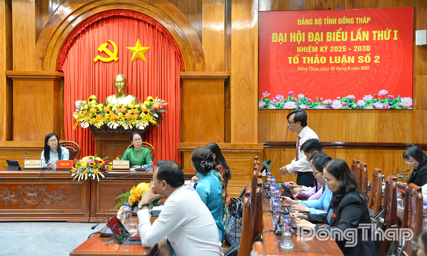 Đại biểu Tổ thảo luận số 1 phát biểu ý kiến.