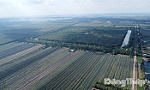 Tỉnh Đồng Tháp: Đầu tư mở rộng Khu Bảo tồn sinh thái Đồng Tháp Mười thêm khoảng 60 ha