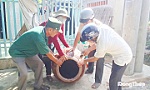 Chủ động phòng, chống dịch bệnh trong giai đoạn giao mùa và mùa mưa