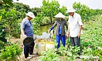 Sản xuất phân bón hữu cơ từ rác thải, phụ phẩm nông nghiệp