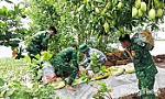 Bộ đội Biên phòng tỉnh Đồng Tháp: Hỗ trợ người dân ngăn lũ lụt, bảo vệ vườn cây ăn trái