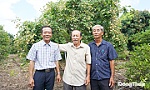Hạt nhân vững mạnh trong xây dựng và phát triển mô hình hội quán