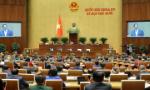 'Quốc hội khóa 15 là nhiệm kỳ đặc biệt trong lịch sử lập pháp'