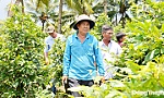 Làm giàu, gắn kết và chia sẻ