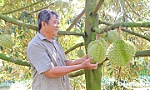 Xã Mỹ Hiệp: Hướng đến nông nghiệp xanh sinh thái bền vững