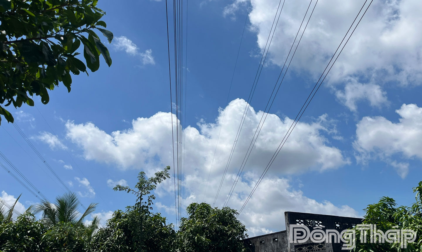 Khẩn trương xử lý các trường hợp vi phạm hành lang an toàn lưới truyền tải điện gây nguy hiểm