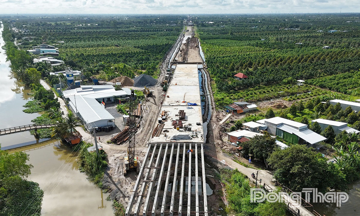 Đồng Tháp: Kiến nghị bổ sung khoảng 358 tỷ đồng để đầu tư đồng bộ Dự án Cao tốc Cao Lãnh - An Hữu giai đoạn 1