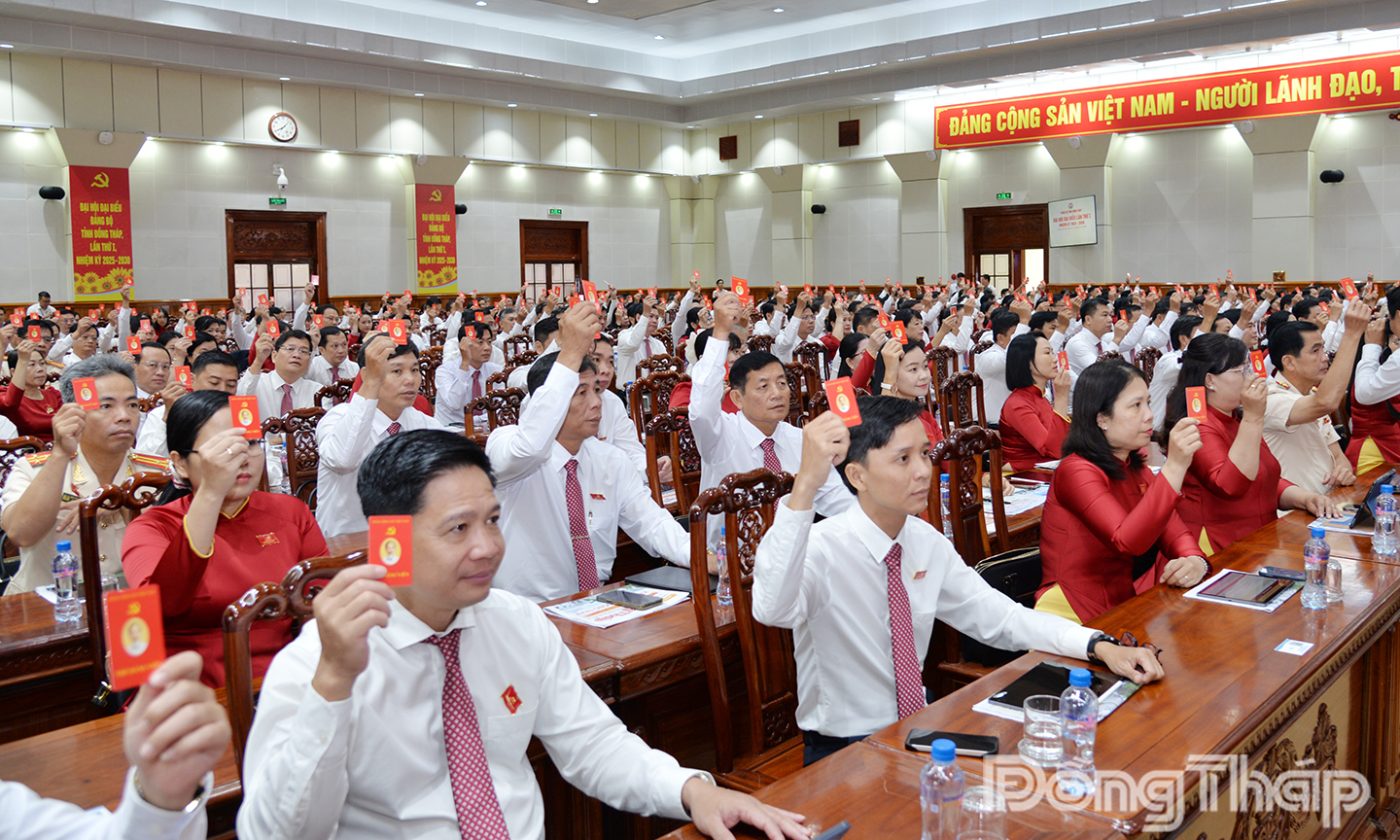 Các đại biểu thông qua Nghị quyết Đại hội.