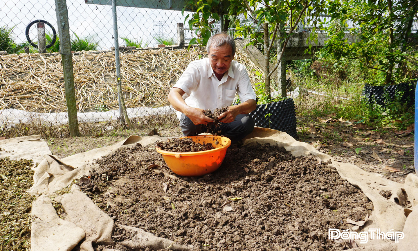Nông dân dùng men gốc IMO cùng nguyên liệu lục bình làm phân hữu cơ.