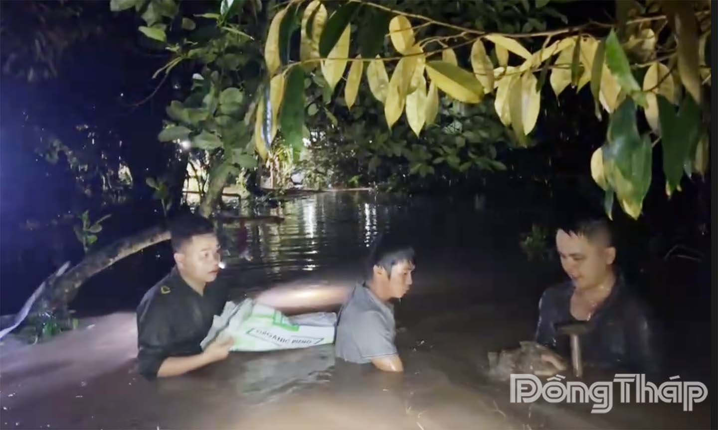 Trắng đêm gia cố đê bao.