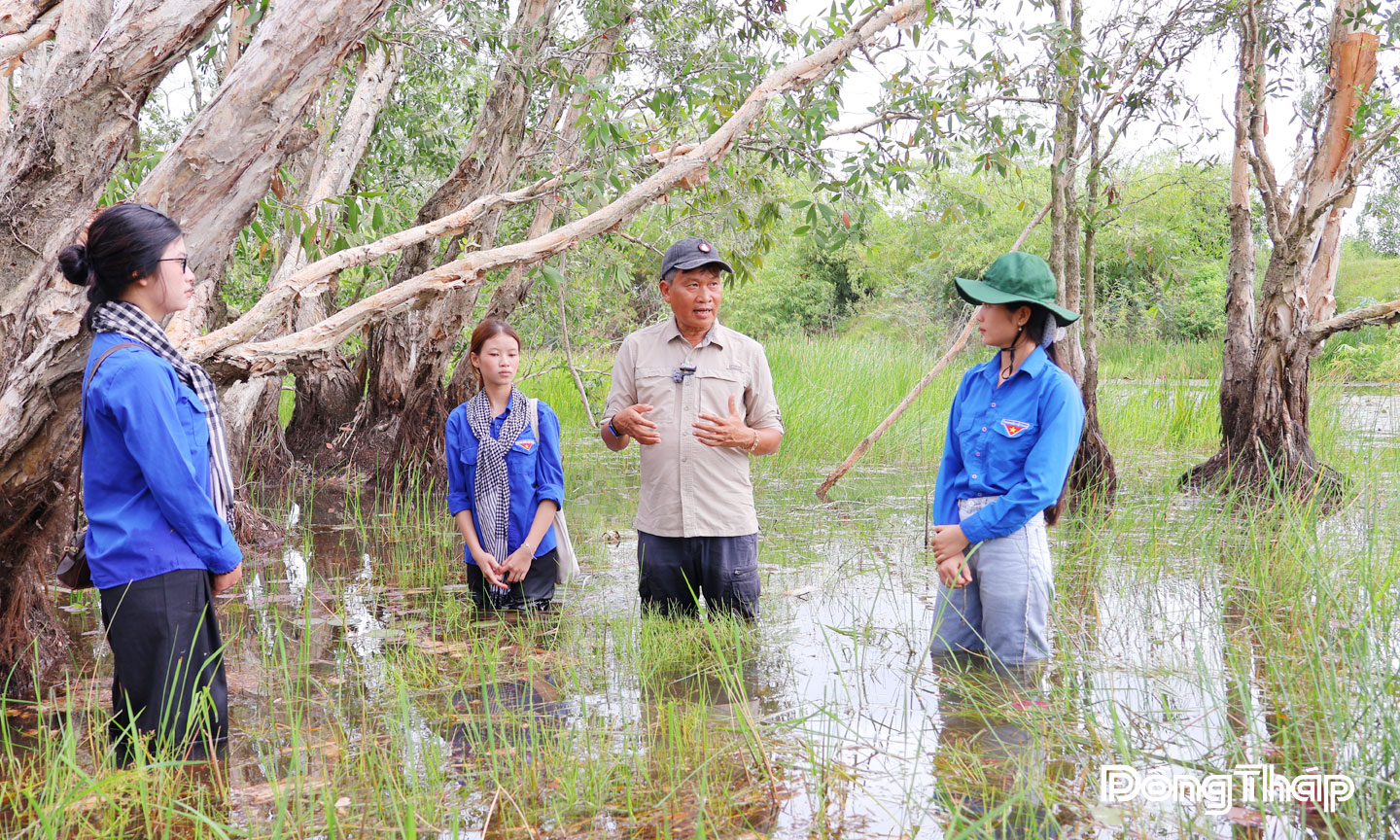  Đến tham quan Vườn Quốc gia Tràm Chim, du khách không chỉ được hòa mình vào thiên nhiên trong lành, mà còn có cơ hội tìm hiểu hệ sinh thái động, thực vật đặc trưng của vùng đất ngập nước Đồng Tháp Mười.