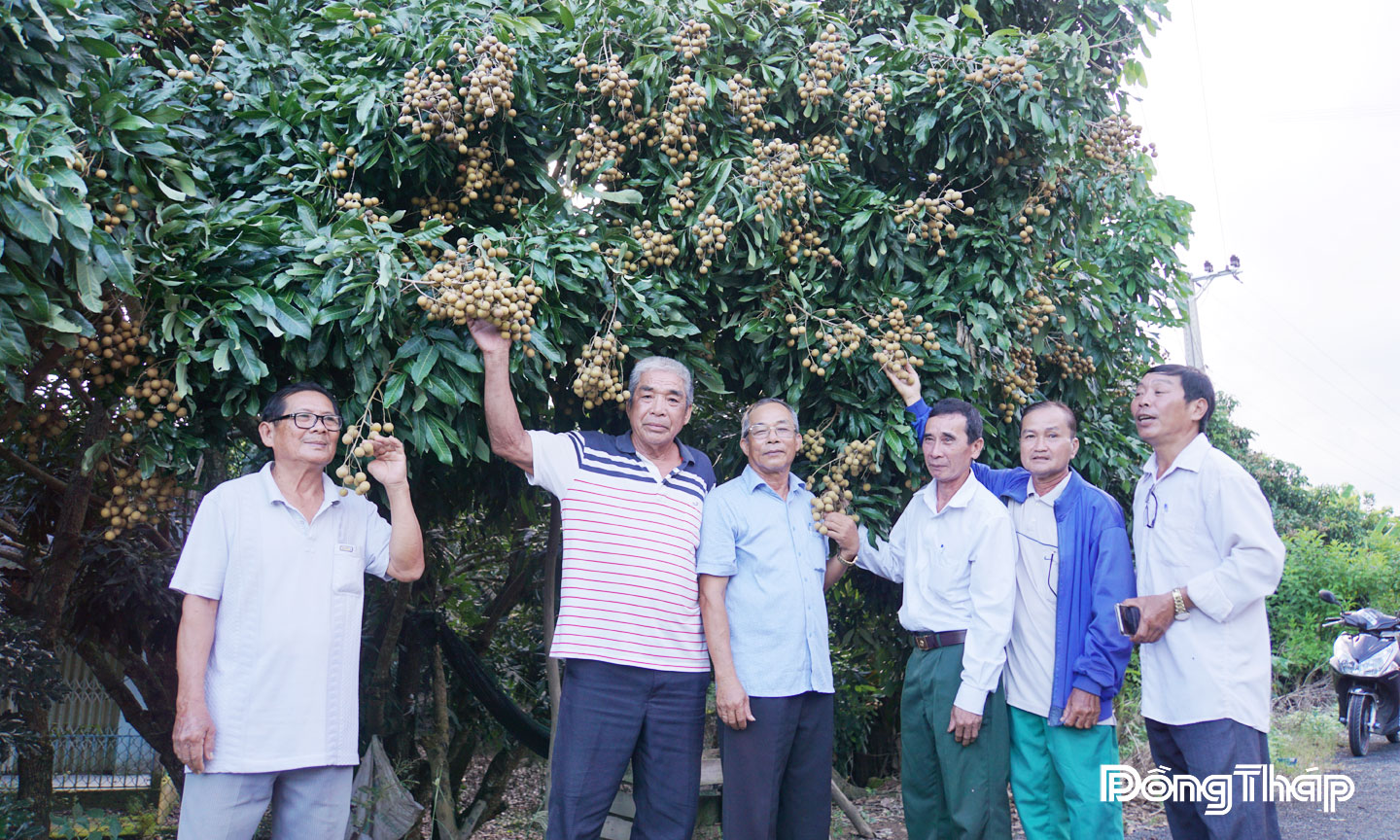 Đồng chí Nguyễn Thanh Bình cho biết, sản phẩm nhãn Châu Thành của Canh Tân Hội quán được thực hiện truy xuất nguồn gốc rõ ràng.