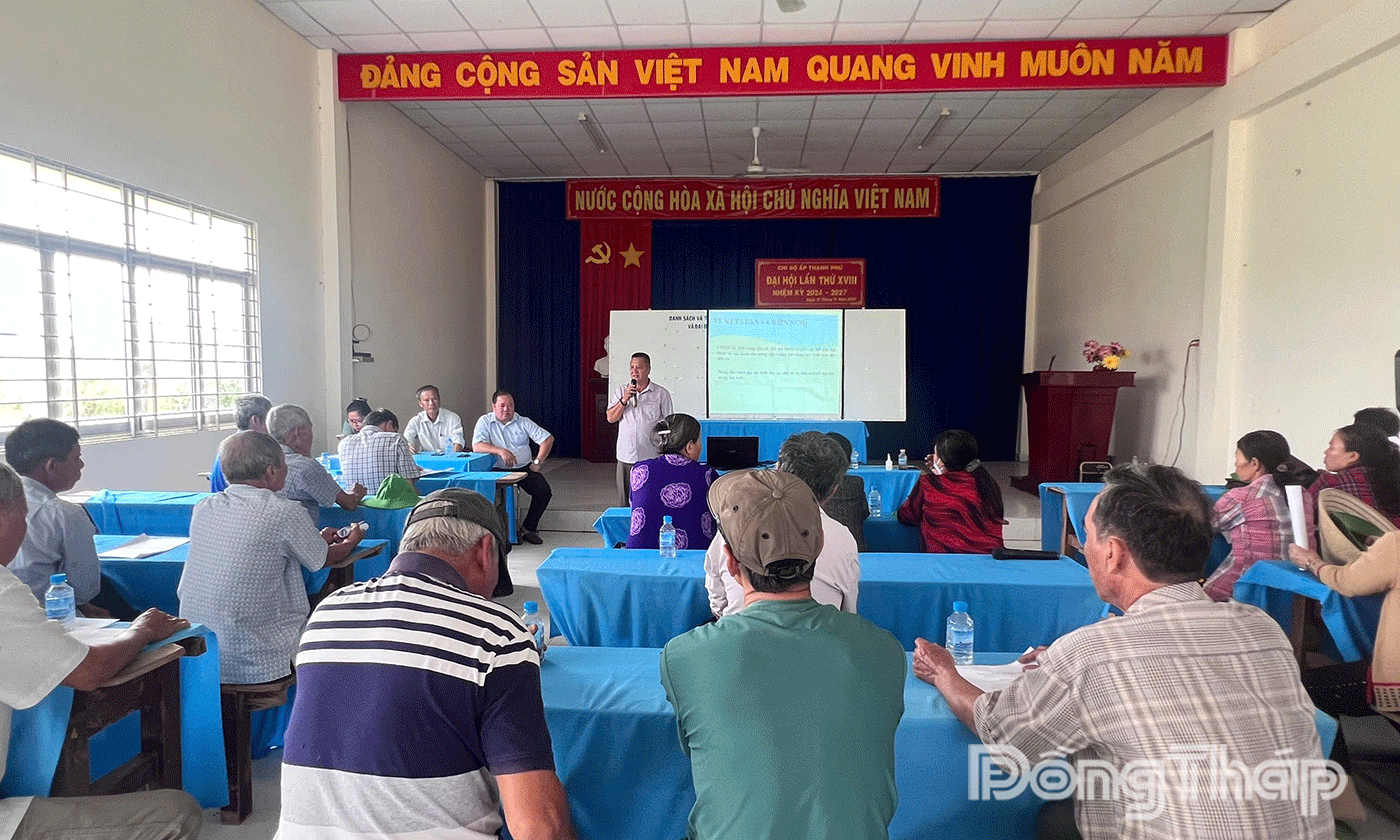 Hội thảo chuỗi liên kết lúa gạo cho các hợp tác xã.