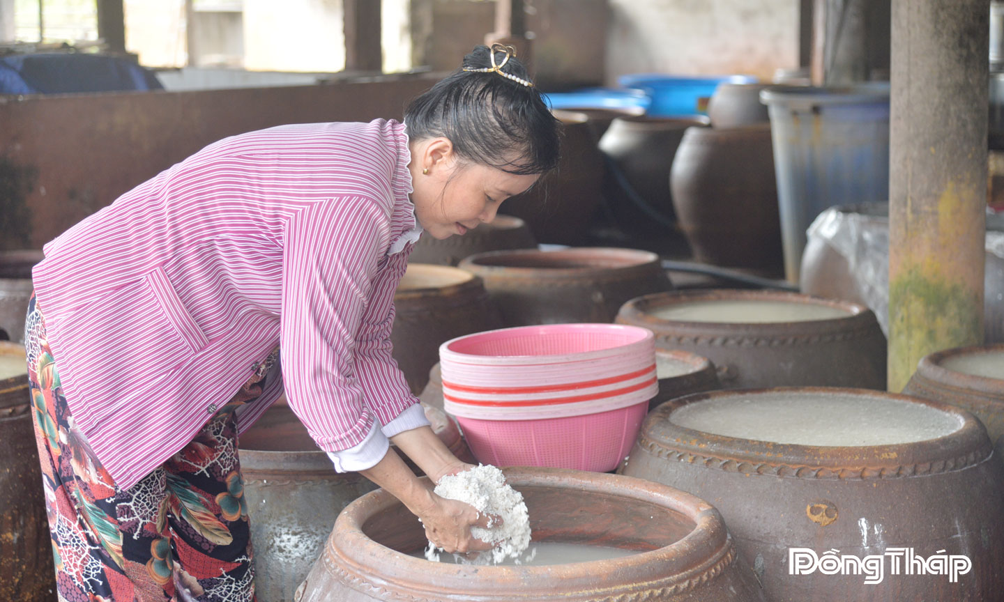 Chị Nguyễn Thị Kim Phượng kiểm tra gạo ngâm.