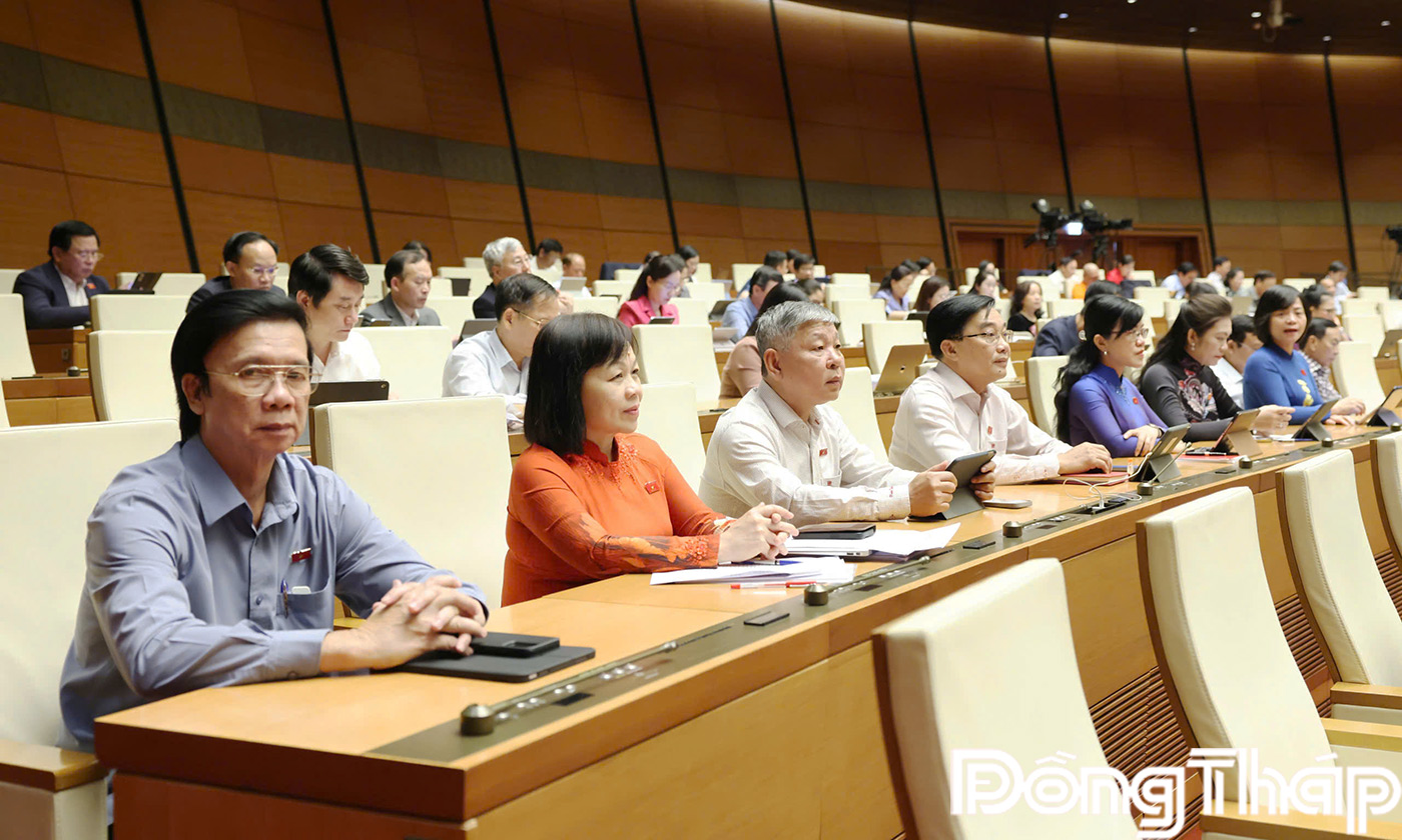 ĐBQH tỉnh tham gia