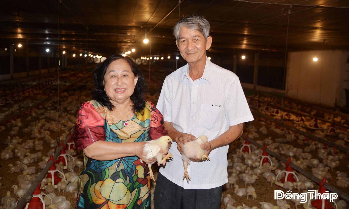 Trang trại gà của ông Nguyễn Đức Lữ được công ty nước ngoài ký hợp đồng bao tiêu sản phẩm, đảm bảo đầu ra bền vững và ổn định giá bán.