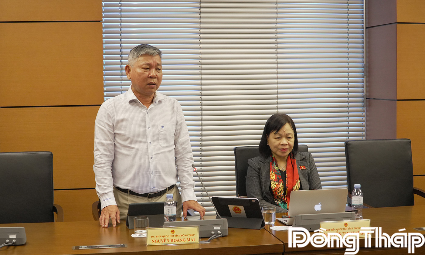 Đại biểu Nguyễn Hoàng Mai phát biểu ý kiến thảo luận tại tổ