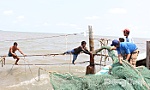 Đồng Tháp: Tập trung chuyển đổi một số nghề khai thác hải sản ảnh hưởng đến nguồn lợi và môi trường sinh thái