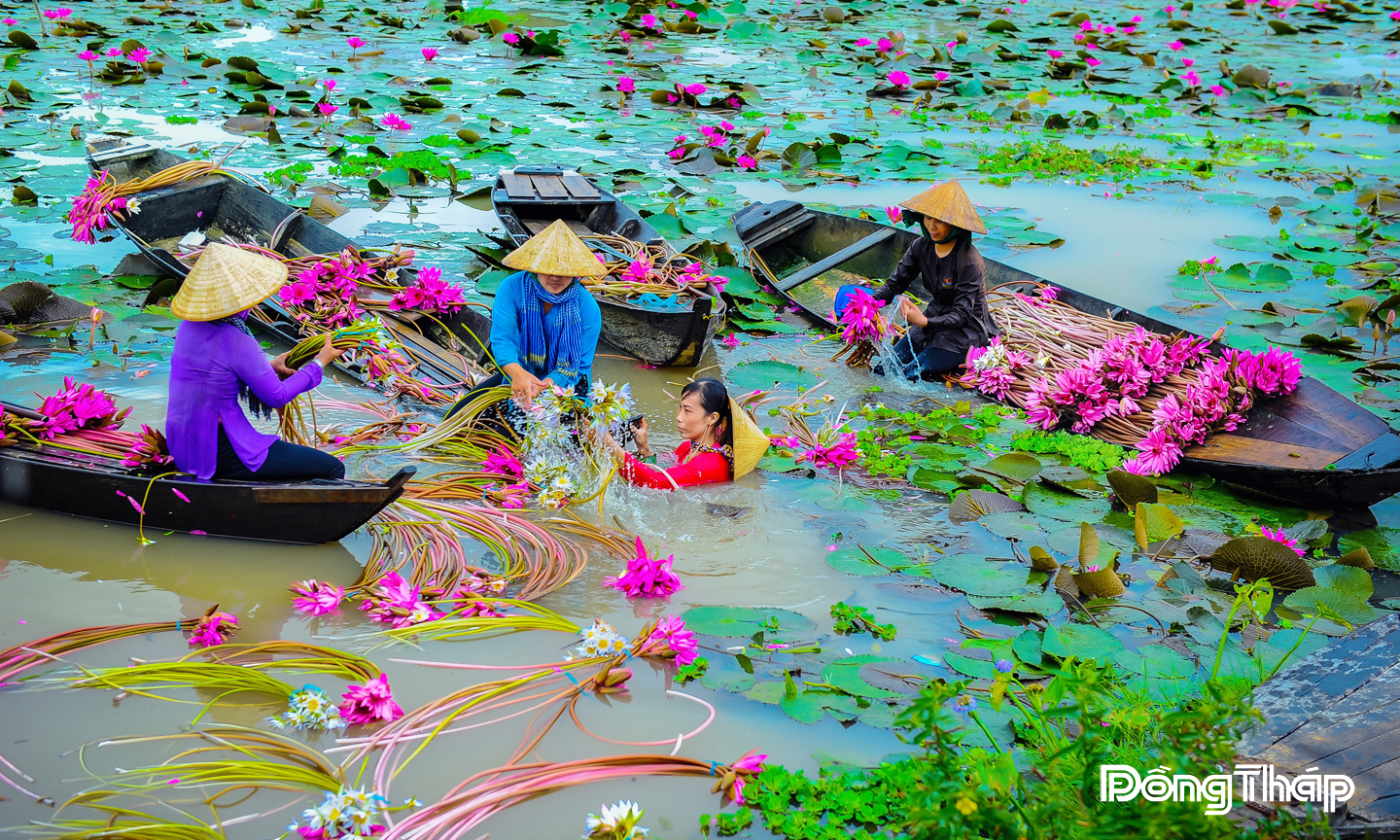 Mùa nước nổi - Mùa nước đỡ đầu đất, đỡ đầu người miền Tây