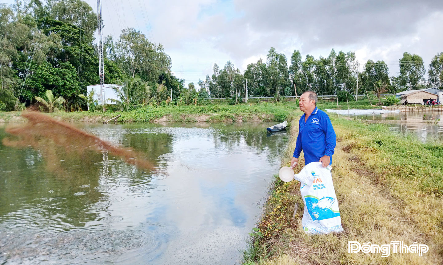 Lĩnh vực nông nghiệp của tỉnh đạt nhiều kết quả tích cực trong 9 tháng qua.