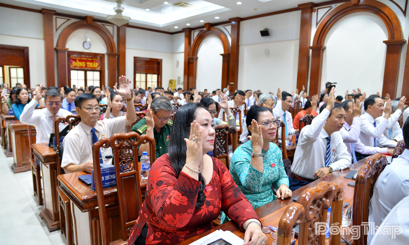 Đại biểu biểu quyết thông qua nghị quyết