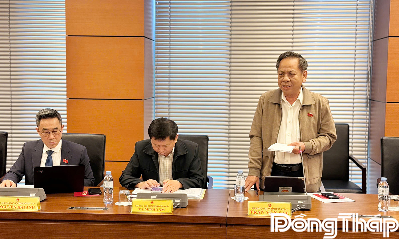 Đại biểu Trần Văn Sáu phát biểu