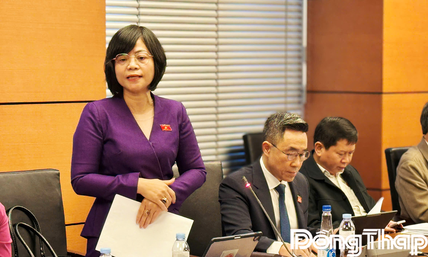 Đại biểu Nguyễn Thanh Cầm phát biểu thảo luận tại tổ