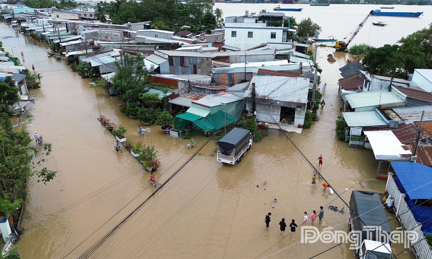 Triều cường gây ngập tại khu vực bến phà Mỹ Thuận cũ thuộc xã An Hữu, tỉnh Đồng Tháp.