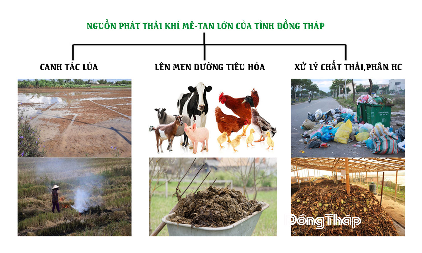 Các nguồn phát thải mê-tan lớn của tỉnh Đồng Tháp.