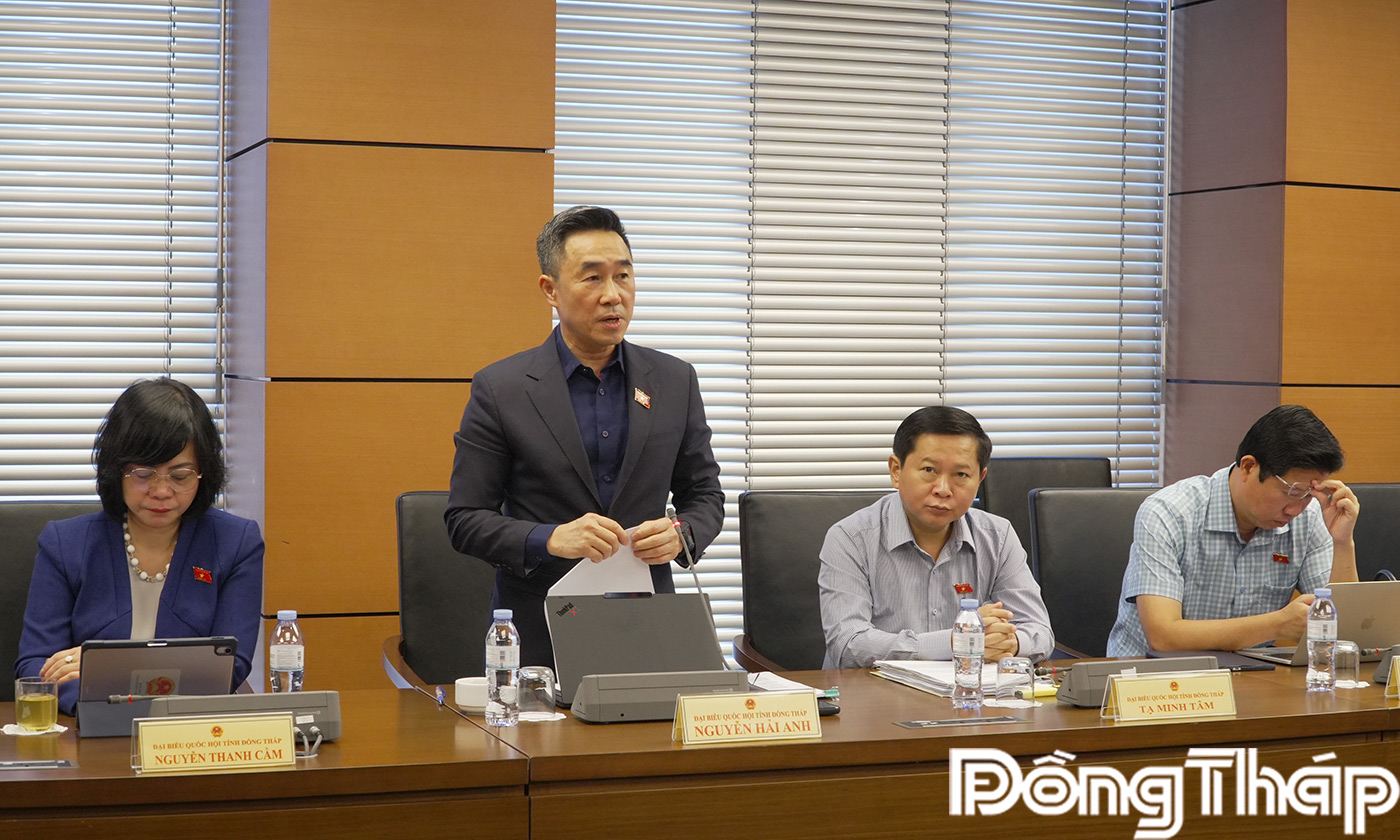 Đại biểu Nguyễn Hải Anh, Đoàn ĐBQH tỉnh Đồng Tháp phát biểu