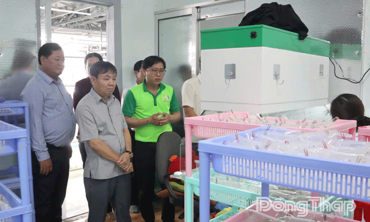 Đồng chí Phan Văn Thắng đến thăm Hợp tác xã Nông nghiệp Công nghệ cao Kim Phát.