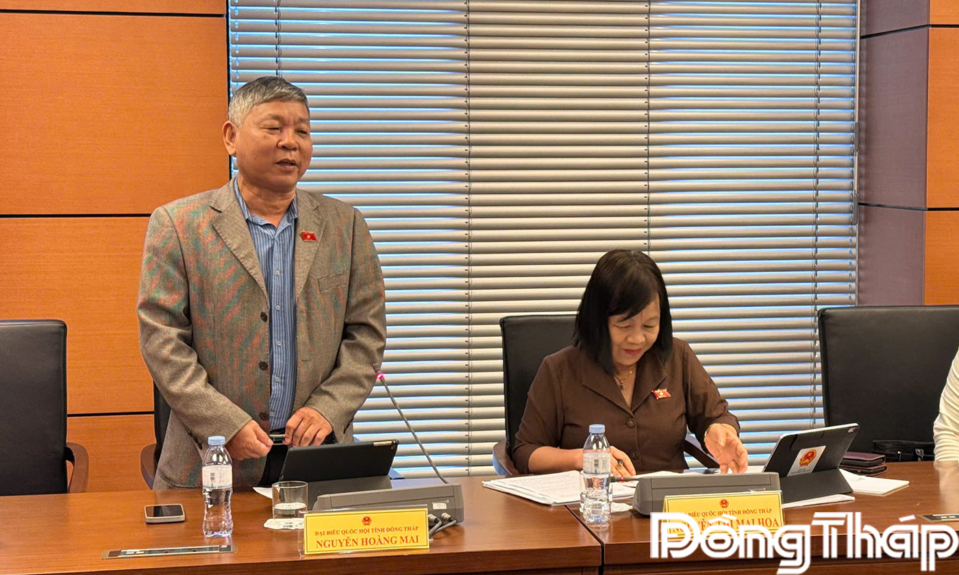 Đại biểu Nguyễn Hoàng Mai phát biểu ý kiến thảo luận