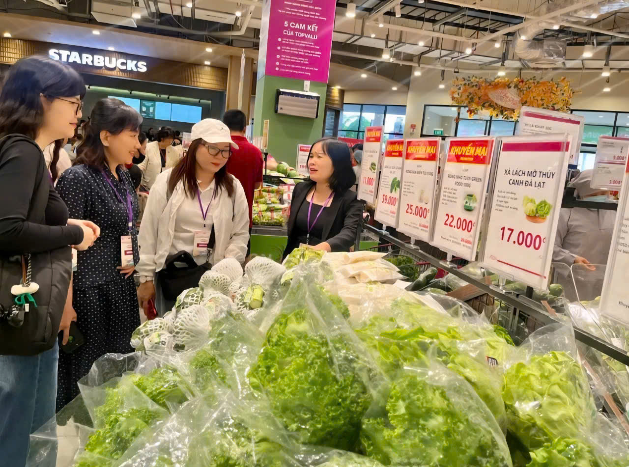 Rau ăn lá tại siêu thị, trung tâm thương mại có mức giá cạnh tranh, nhiều khuyến mãi nên được người tiêu dùng quan tâm. Ảnh: THI HỒNG